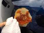 DSCN9252.JPG